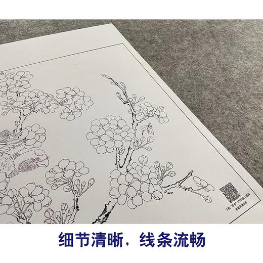 【大彩图】佚名工笔画白描底稿宋画小品《梨花鹦鹉图》临摹勾线花鸟线稿GH25 商品图4