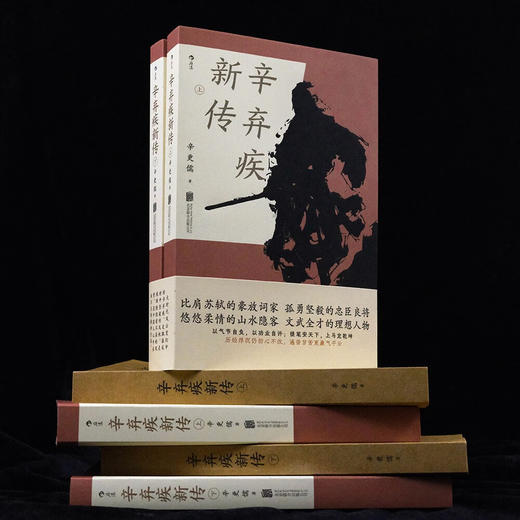 辛弃疾新传 他毕生历经浮沉，波澜壮阔的人生经历尽在《辛弃疾新传》的记述之中 商品图3
