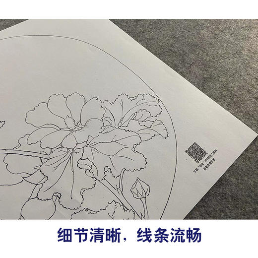 【大彩图】佚名工笔画白描底稿宋画小品《蜀葵图》临摹勾线花鸟线稿GH24 商品图4