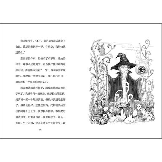 【魔法象·文字书销冠TOP10 8-12岁】魔法象法语大奖书屋（第二辑）（全5册） 商品图6