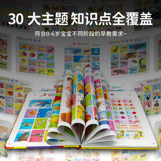 认知启蒙 早教益智发声书：汉文 英文 商品图3