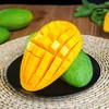 【爆甜爽口！新鲜大青芒】个大均匀越南进口大青芒10斤新鲜水果当季整箱忙果青皮大芒果特大包邮现货-觅食坊 商品缩略图3