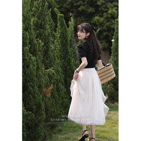 鹿向南《月光童话》法式2023新款a字半身裙女小个子夏季网纱裙子