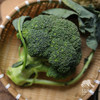 生态西兰花 | 绿家自产*ecological broccoli | Self-production 商品缩略图1