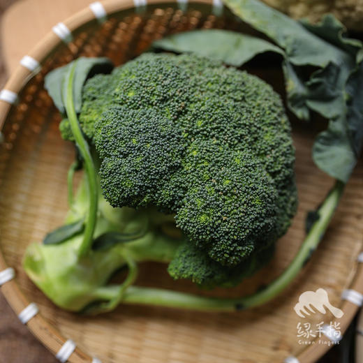 生态西兰花 | 绿家自产*ecological broccoli | Self-production 商品图1