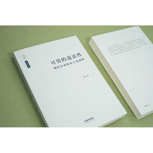 可罚的违法性：刑民关系的本土化阐释  陈少青著  法律出版社 商品图5