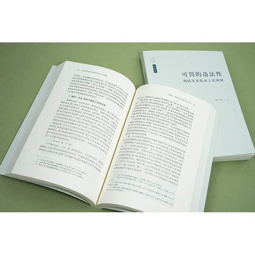 可罚的违法性：刑民关系的本土化阐释  陈少青著  法律出版社 商品图2