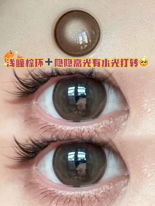 camellia 山茶棕环 ·半年抛型 商品图2