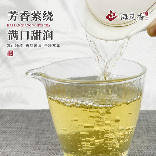 海岚香 寒露茶  散装白茶 雅风系列 50g*6盒/箱 商品图4