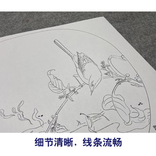 【大彩图】佚名工笔画白描底稿宋画小品《红蓼水禽图》临摹勾线花鸟线稿GH71 商品图4