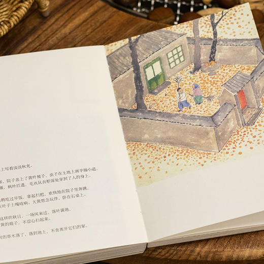 家在小院里 商品图2