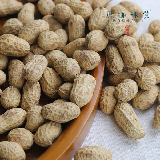 生态带壳原味炒花生（基地直发-申通包邮）| 300g/袋，2/4袋装，来自河北滦县，生产者：张振【合作生产，公平贸易】 商品图1