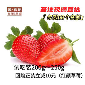 【GY】花溪草莓游鱼河有机草莓试吃装200g~250g