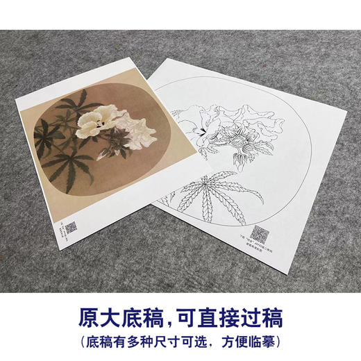 【大彩图】李大忠工笔画白描底稿宋画小品《秋葵图》秋葵花临摹勾线花鸟线稿X005 商品图1