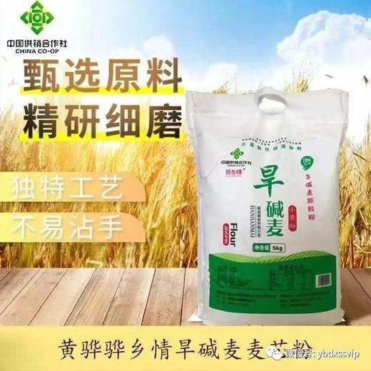 骅乡情旱碱麦颗粒粉5kg 商品图0