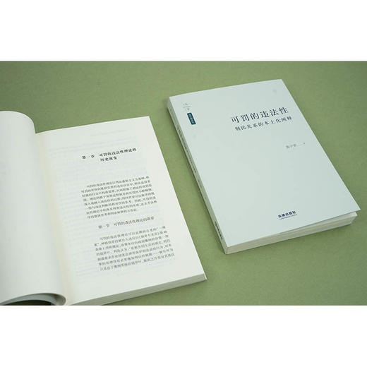 可罚的违法性：刑民关系的本土化阐释  陈少青著  法律出版社 商品图3
