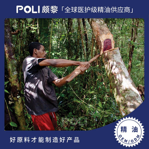 印度进口玫瑰木精油原料进口蒸馏玫瑰木精油印度进口玫瑰精油 商品图0