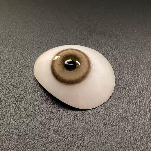 Woolilens 奇异果 日抛 两片 14.2mm 参考着色13.5mm 基弧8.5 含水50% 新锐国货 商品图4