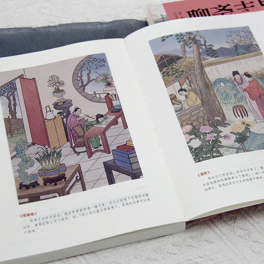 聊斋志异 青少年典藏版（语文教材九年级上同步阅读书目，白话改编十绣像临摹彩插，疑难字注音注释，大字舒朗排版，附彩绘大页）([清] 蒲松龄) 商品图4