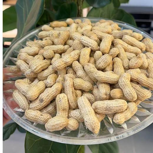 正宗龙岩花生湿烤花生 商品图2