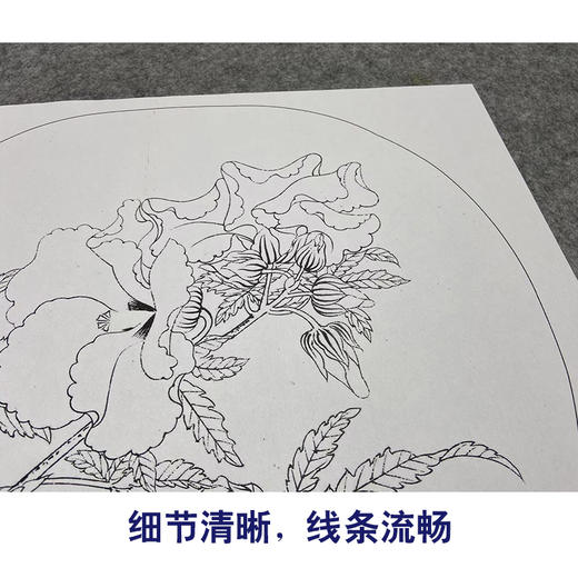 【大彩图】李大忠工笔画白描底稿宋画小品《秋葵图》秋葵花临摹勾线花鸟线稿X005 商品图4