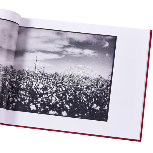 【中商原版】Mississippi Dream 进口艺术 密西西比梦 商品图3