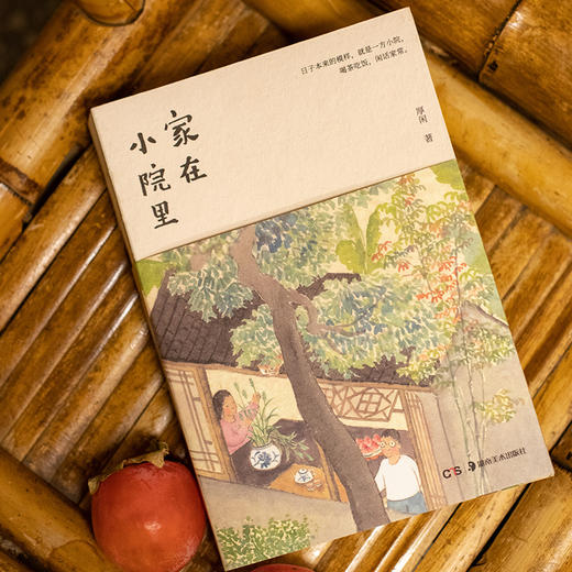 家在小院里 商品图1