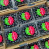 【雪山恬】云南 玉龙雪山 蓝莓15+，口感脆，味道甜，个头中，特别好吃！ 商品缩略图4