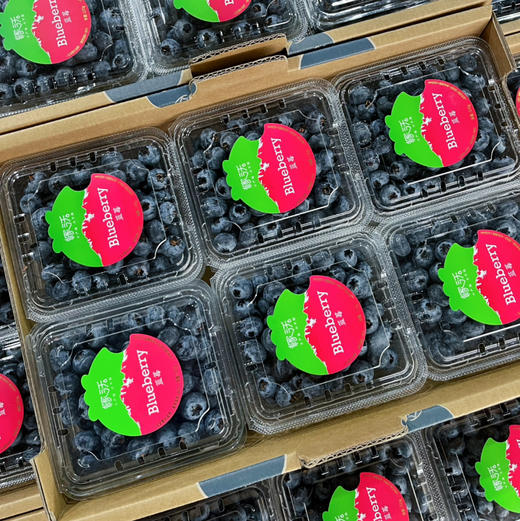 【雪山恬】云南 玉龙雪山 蓝莓15+，口感脆，味道甜，个头中，特别好吃！ 商品图4