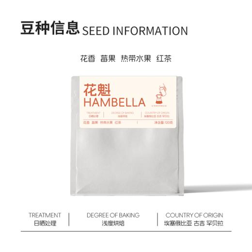 埃塞俄比亚 - 罕贝拉 花魁 商品图1