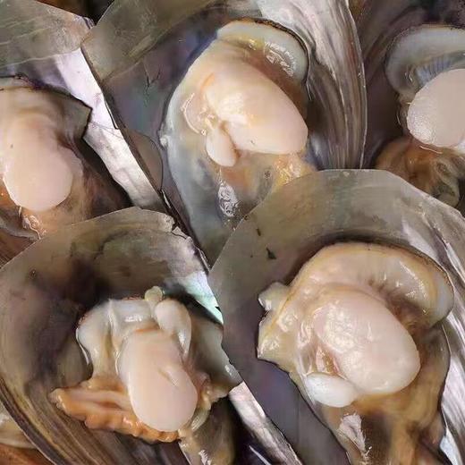 带子（中） 商品图3