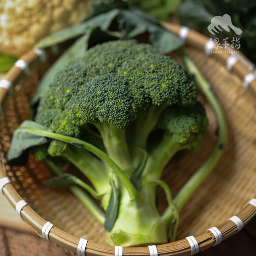 生态西兰花 | 绿家自产*ecological broccoli | Self-production 商品图2