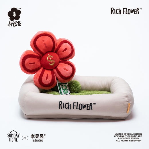 POPSUNDAY 有钱窝 商品图2