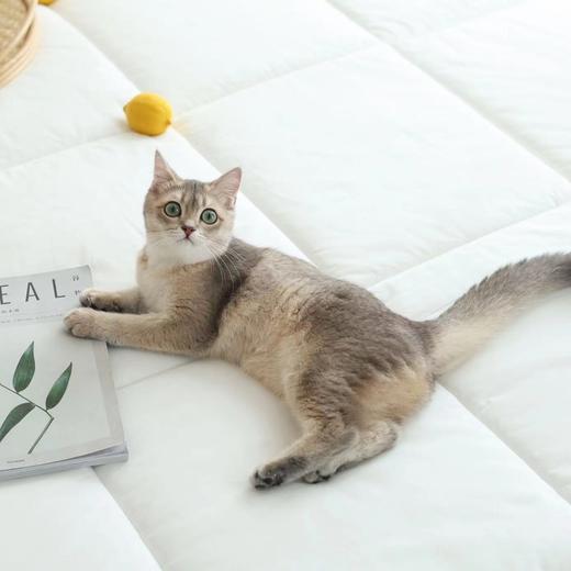 专有德国防螨yi菌纤维丨Suprelle出品五星酒店同款小蓝厚垫，随时机洗，不闷汗超透气 商品图7