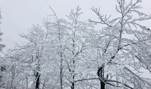 户外@【雪域衡山】南岳衡山高铁2天 商品图4