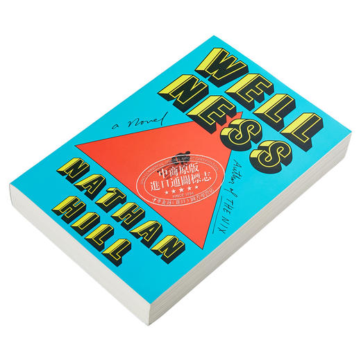 【中商原版】健康 Wellness 英文原版 NATHAN HILL 现代婚姻爱情小说 对婚姻对健康和幸福的追求 商品图1