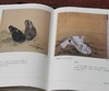 绝版毛边：《中国古代漆器》《明代鸽经 清代鸽谱》，精装，16开，王世襄著，三联书店2013年一版一印，两册售价198元，《明代鸽经  清代鸽谱》，单册98元。品相9成 商品缩略图12