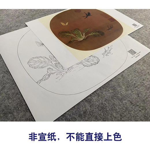 【大彩图】许迪工笔画白描底稿宋画小品《野蔬草虫图》白菜蜻蜓临摹勾线花鸟线稿GH26 商品图2