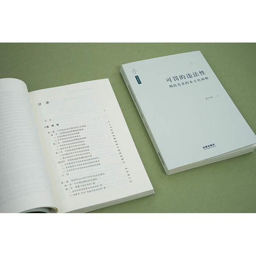 可罚的违法性：刑民关系的本土化阐释  陈少青著  法律出版社 商品图4