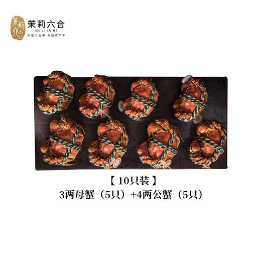 鲜活大闸蟹10只装 线上 商品图0