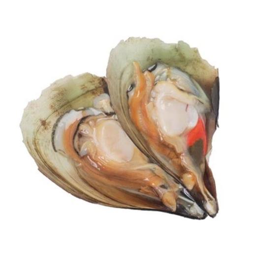 带子（中） 商品图0