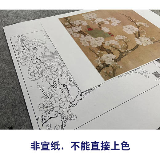 【大彩图】佚名工笔画白描底稿宋画小品《梨花鹦鹉图》临摹勾线花鸟线稿GH25 商品图2