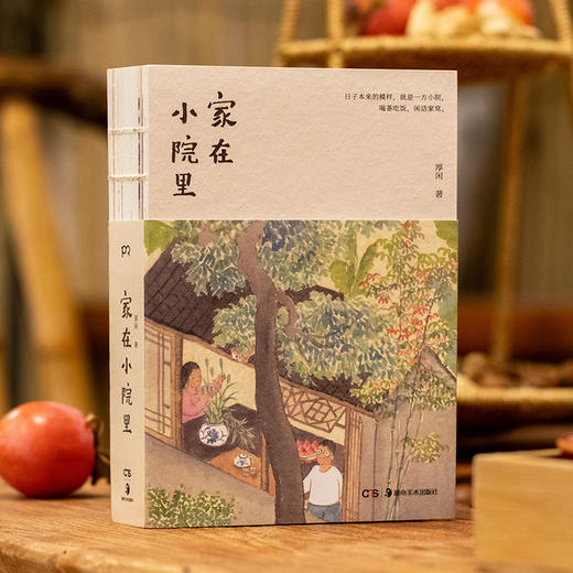 家在小院里 商品图3