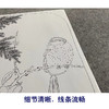 【大彩图】赵佶工笔画白描底稿宋画小品《花鸟图册》腊梅临摹勾线花鸟线稿GH30 商品缩略图4