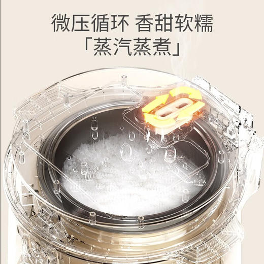 Velosan迷你电饭煲家用2L（绿） 商品图5