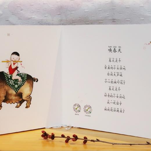 《小种子之歌 》（全7册） 商品图8