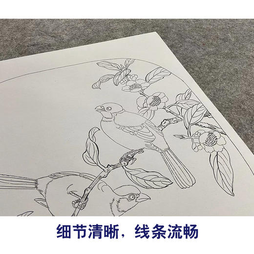 【大彩图】佚名工笔画白描底稿宋画小品《花卉双禽图》茶树雀鸟临摹勾线花鸟线稿GH27 商品图4