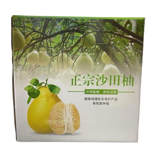 梅州-老树沙田柚/梅州三红蜜柚 商品图0