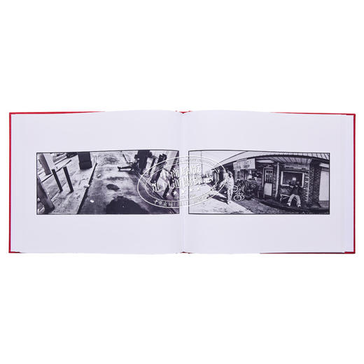 【中商原版】Mississippi Dream 进口艺术 密西西比梦 商品图4