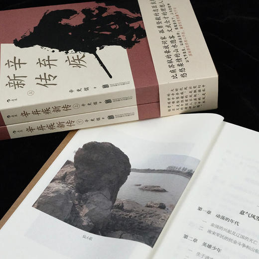 辛弃疾新传 他毕生历经浮沉，波澜壮阔的人生经历尽在《辛弃疾新传》的记述之中 商品图5